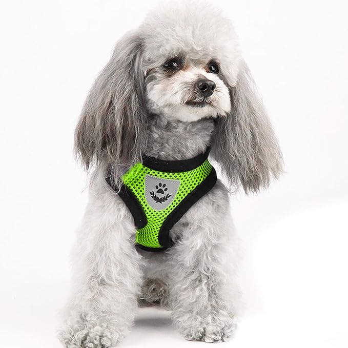 shudyear Summer cat Chest Harness and Leash, Anti-Escape Adjustable Soft mesh cat Leash and Chest Harness Set for All Types of Cats cat Vests (Size L,Green)