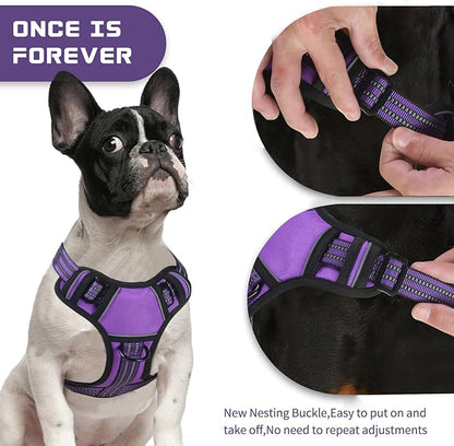BUMBIN Dog Harness for Large Dogs, No Pull Adjustable No Choke Pet Vest with Dog Leash Fit Smart Reflective Pet Walking Harness for Training Easy Control Soft Handle Purple S