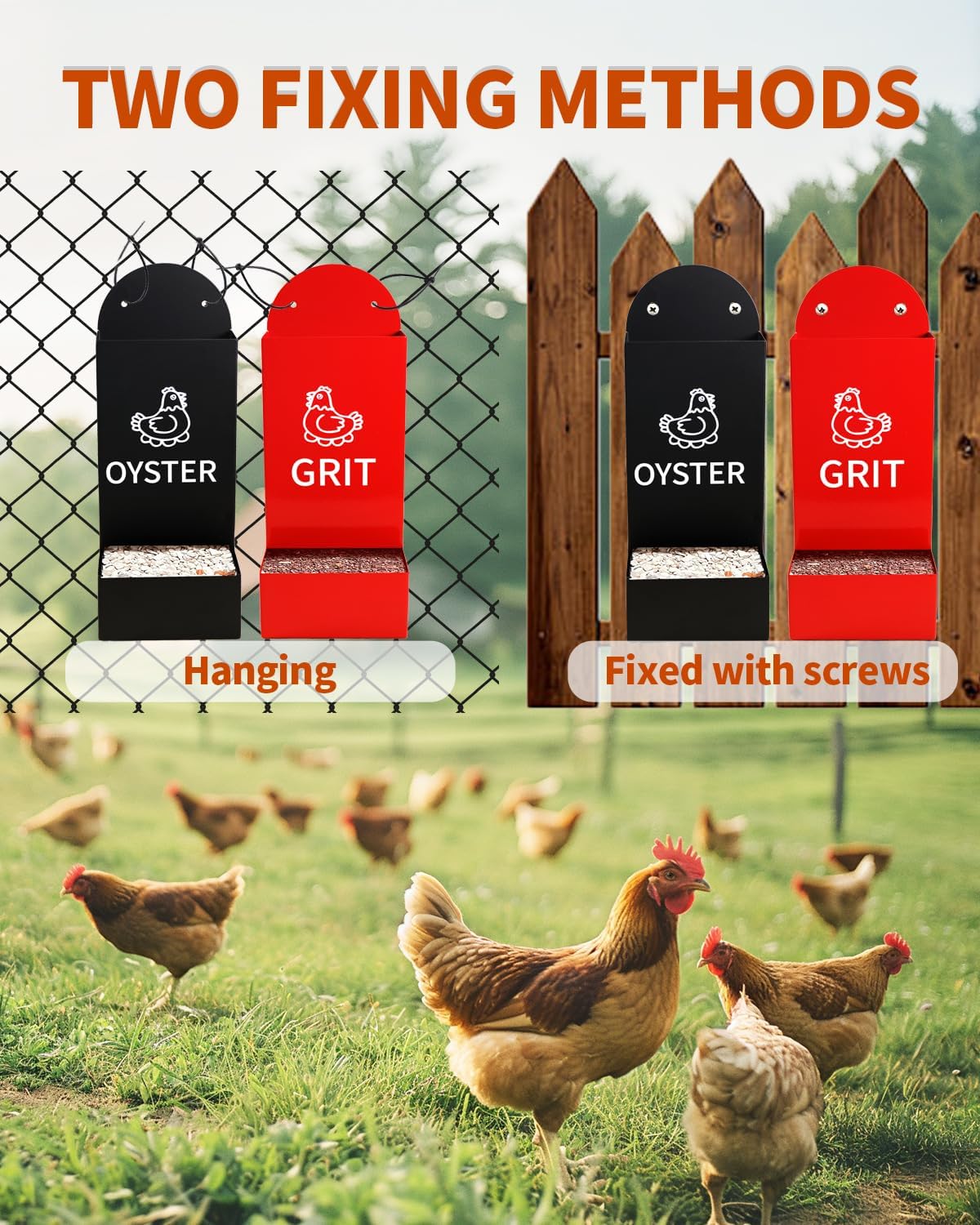 Chicken Oyster Shell Feeder and Grit Feeder Metal Chicken Feeder Chicken coop Accessories Automatic Chicken Feeder