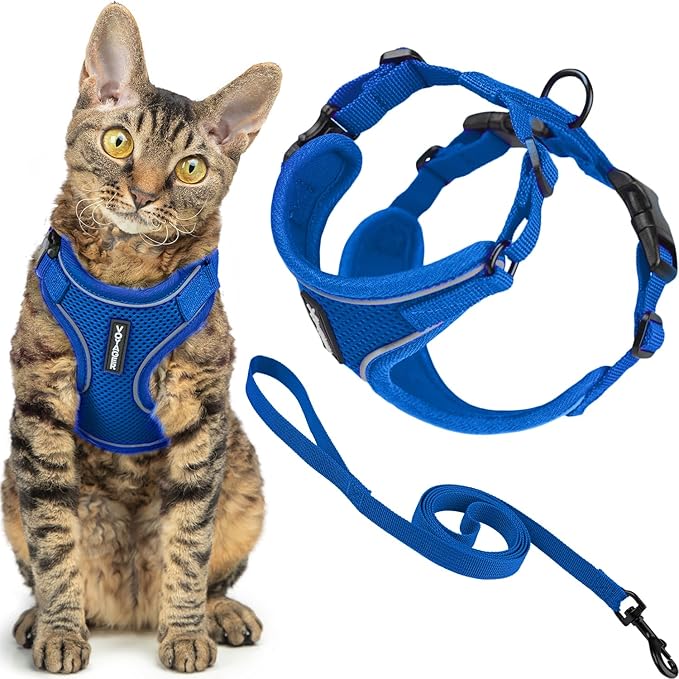 Voyager Escape Proof Cat Harness and Leash Set with Reflective Stitching, Neoprene Handle 5ft - Supports Small, Medium and Large Cats, Kittens for Walking by Best Pet Supplies - Royal Blue, XXS