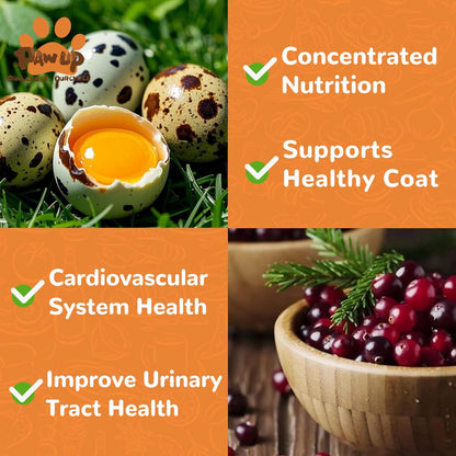 PAWUP Freeze Dried Cat & Dog Treats, Natural Quail Egg Yolk, Rich in Antioxidants Cranberry Added, High-Protein Pet Snacks for Coat & Urinary Health, 3.5 oz
