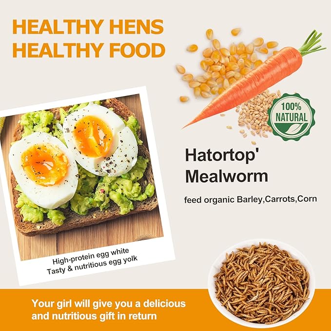 6LB (2LB*3) Dried Mealworms for Birds Treats Bulk - Non GMO Meal Worms Dried for Chickens, Wild Birds, Turkeys, Reptile Food - High Protein Grub Worms for Chickens for Laying Hens Chicken Worms