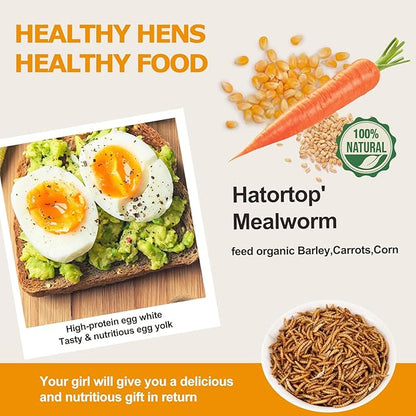 Dried Mealworms for Chickens & Birds Treats Bulk, 5LB Non-GMO Meal Worms Dried for Wild Birds, Turkeys, Reptile Feed - High Protein Grub Chicken Worms for Laying Hens, 100% Natural Mealworms Bird Food