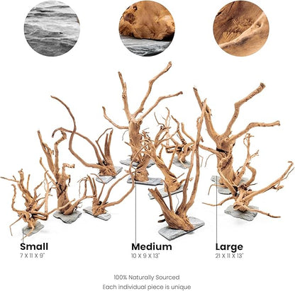 Ultum Nature Systems Driftwood - Spider Wood on Slate Stone for Fish Tank, Planted Tank, Terriarium, Paludarium - Versatile Natural Driftwood Decor - Spider Wood on Slate Stone, Medium (12-15")