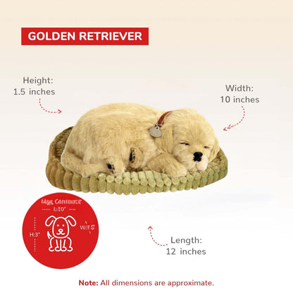 Original Petzzz Golden Retriever, Realistic, Lifelike Stuffed Interactive Pet Toy, Companion Pet Dog with 100% Handcrafted Synthetic Fur