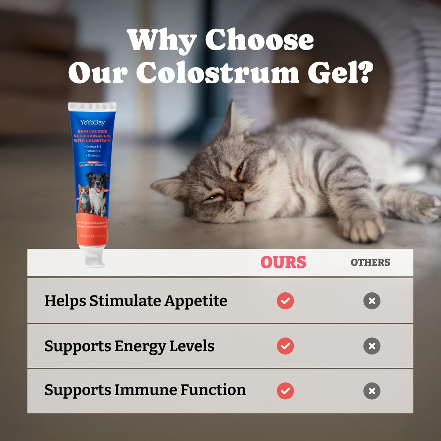 Bovine Colostrum Nutritional Gel for Dog & Cat - High Calorie Supplement for Dogs and Cats, Support Appetite for Cat, Immune Support, Dog Weight Gainer, Senior Dogs Cats Supplement