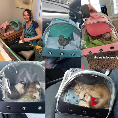 Guinea Pig Carrier Backpack, Clear Bubble Window Backpack for Guinea Pig, Bunny Rat Bird (Yellow, Carrier)