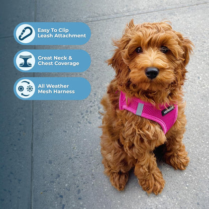 Best Pet Supplies Voyager Step-in Air Harness - All Weather Mesh, Reflective, No Pull Harness for Dogs, Cats - Secure with Hook & Loop Fastener, Buckle, Double D-Rings - Fuchsia, XS