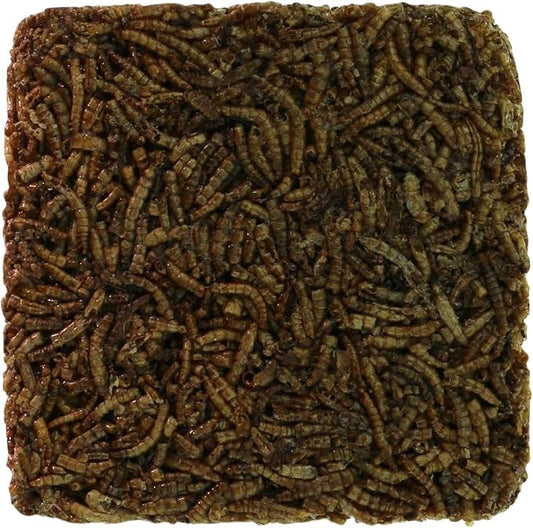 Wild Bird Mealworms Suet Cakes, High Protein Feed, Pack of 6, Size 4.5"x4.5"x1.0" Poultry Feed, Cattle Feed (4.5"x4.5"x1.0", Mealworms)