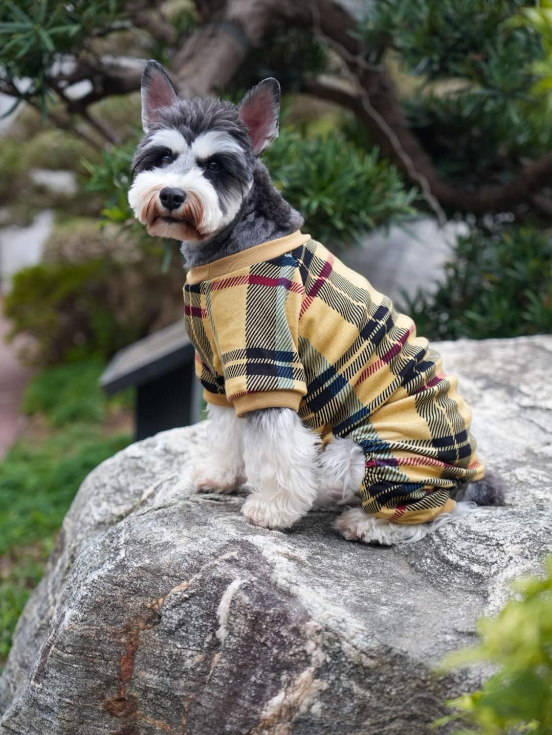 Beige Buffalo Plaid Dog Christmas Pajamas Clothes for Dogs Onesie PJS Medium Size