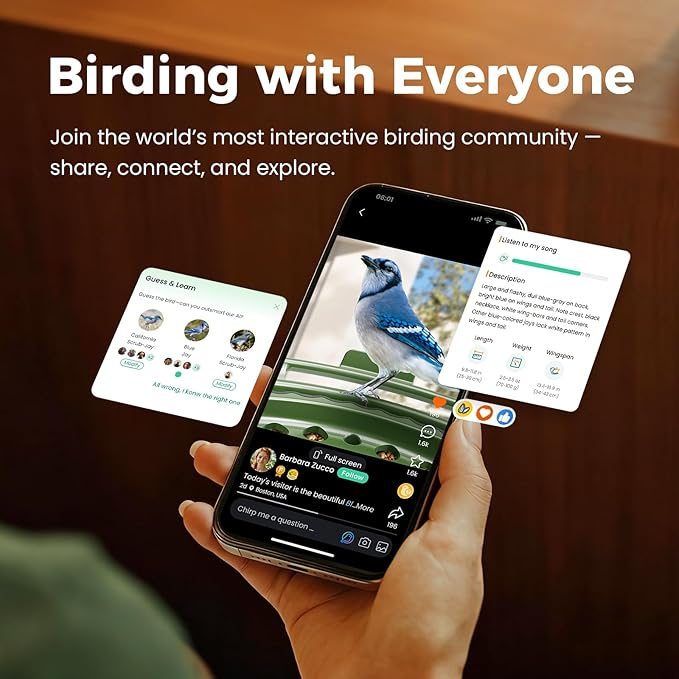 HIXX Smart Bird Feeder with Camera, AI Bird Identifier & 4MP Color Night Vision, Exclusive Vertical View Mode, Squirrel-Deterrent Design, Solar Light for Nature Lovers (Color Light)