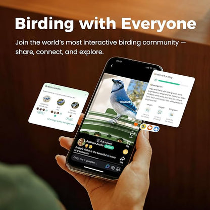 HIXX Smart Bird Feeder with Camera, AI Bird Identifier & 4MP Color Night Vision, Exclusive Vertical View Mode, Squirrel-Deterrent Design, Solar Light for Nature Lovers (Color Light)