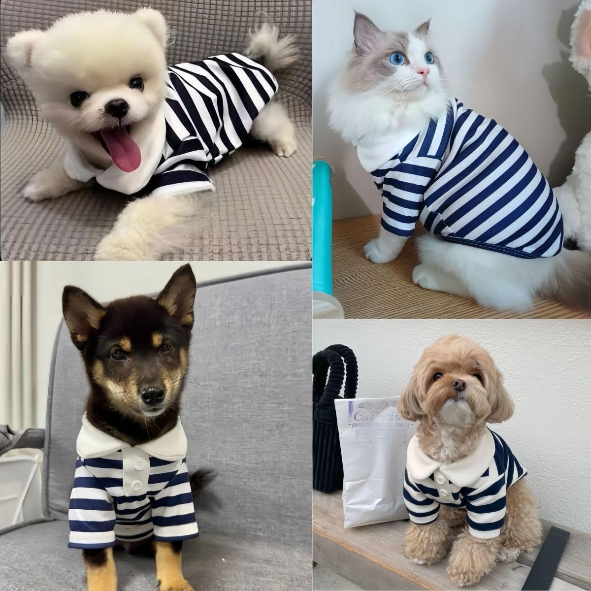 MANON ROSA Cute Dog Clothes Boy Polo Shirt for Small Medium Dogs - Summer Male Puppy T Shirts for Yorkie Poodle Shih Tzu Dachshund Kittens, Striped Collared Pet Doggie Outfits Blue M