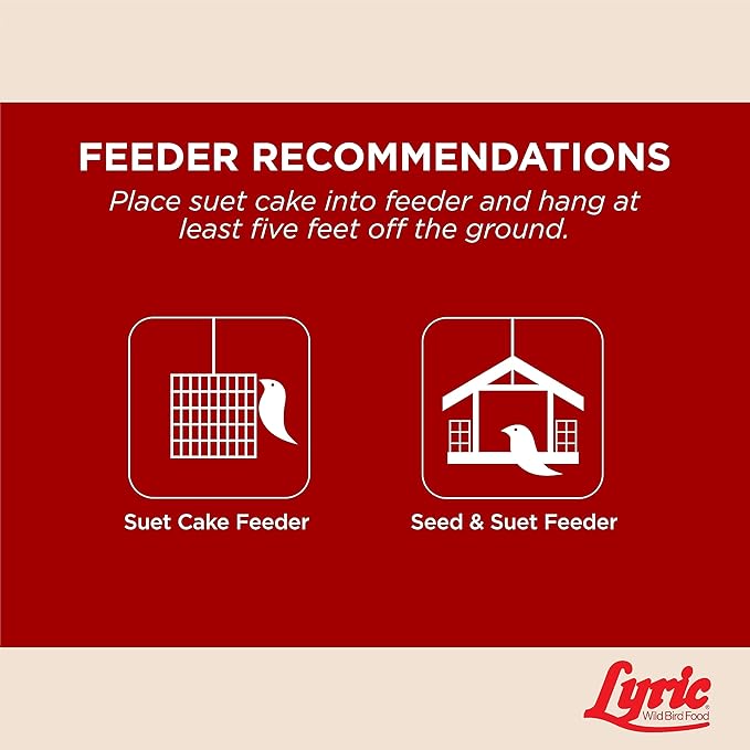 Lyric Fruit & Nut Wild Bird Seed Suet Cakes for Wild Birds, 12 oz. (12 Pack)