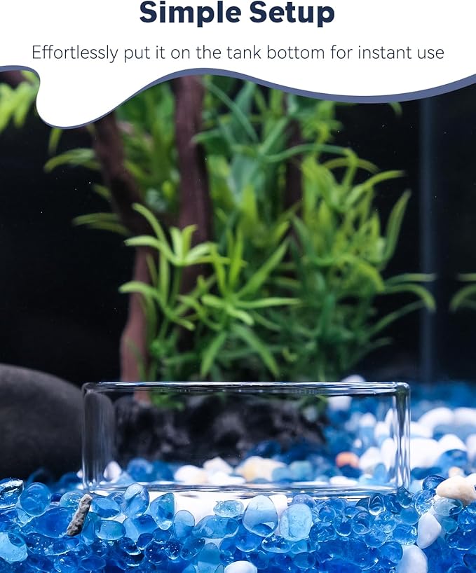 Pawfly 3 Pcs Shrimp Feeding Dish, Clear Glass Aquarium Shrimp Feeder, Transparent Food Tray for Fish Tanks and Terrariums