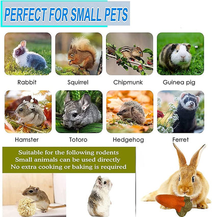 16PCS Guinea Pig Toys, Rabbit Play Balls Rolling, Teeth Care Molar Toys for Hamster Rabbit Guinea Pig Rats Gerbils Hamster Chinchilla Etc