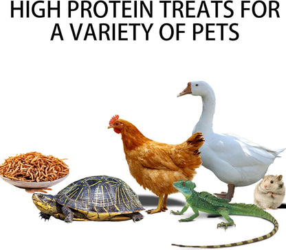 I LOVE WORMS Dried Mealworms (10lb), 100% Natural Non-GMO, High-Protein Mealworms for Chickens, Birds, Ducks, Reptile, Tortoise, Amphibian, Lizard