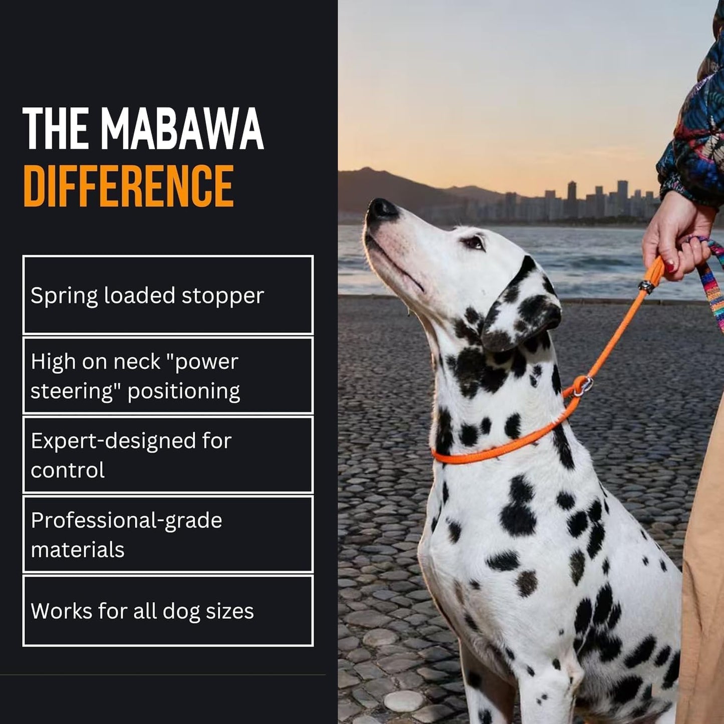 Dog Anti-Slip Leash 5FT with Metal Stopper - Durable No-Pull Training Lead for Small, Medium & Large Dogs - Comfortable Handle Nylon Rope, Tangle-Free Pet Walking Leash (Orange, 5.6FT)