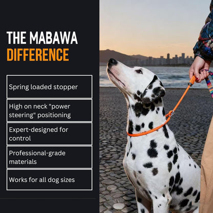 Dog Anti-Slip Leash 5FT with Metal Stopper - Durable No-Pull Training Lead for Small, Medium & Large Dogs - Comfortable Handle Nylon Rope, Tangle-Free Pet Walking Leash (Orange, 5.6FT)