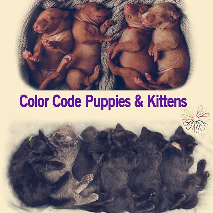 Stretchy Whelping Collars for Kittens and Small Puppies, 15 Colors 60Pcs Assorted Adjustable Identification Loops for Newborn Small Animal Litters, Multi Colored ID Bands (4 Inch)
