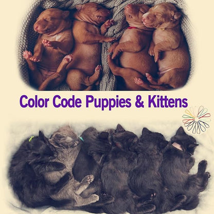 Stretchy Whelping Collars for Kittens and Small Puppies, 15 Colors 60Pcs Assorted Adjustable Identification Loops for Newborn Small Animal Litters, Multi Colored ID Bands (4 Inch)
