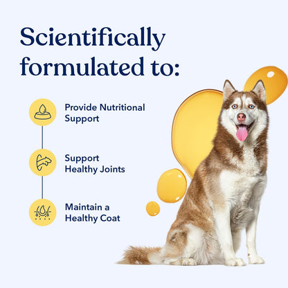 Honest Paws Wild Alaskan Salmon Oil for Dogs & Cats – Omega 3 Fish Oil Supplement for Skin, Coat, Joint & Heart Health – Natural, Sustainably Sourced, 8 oz