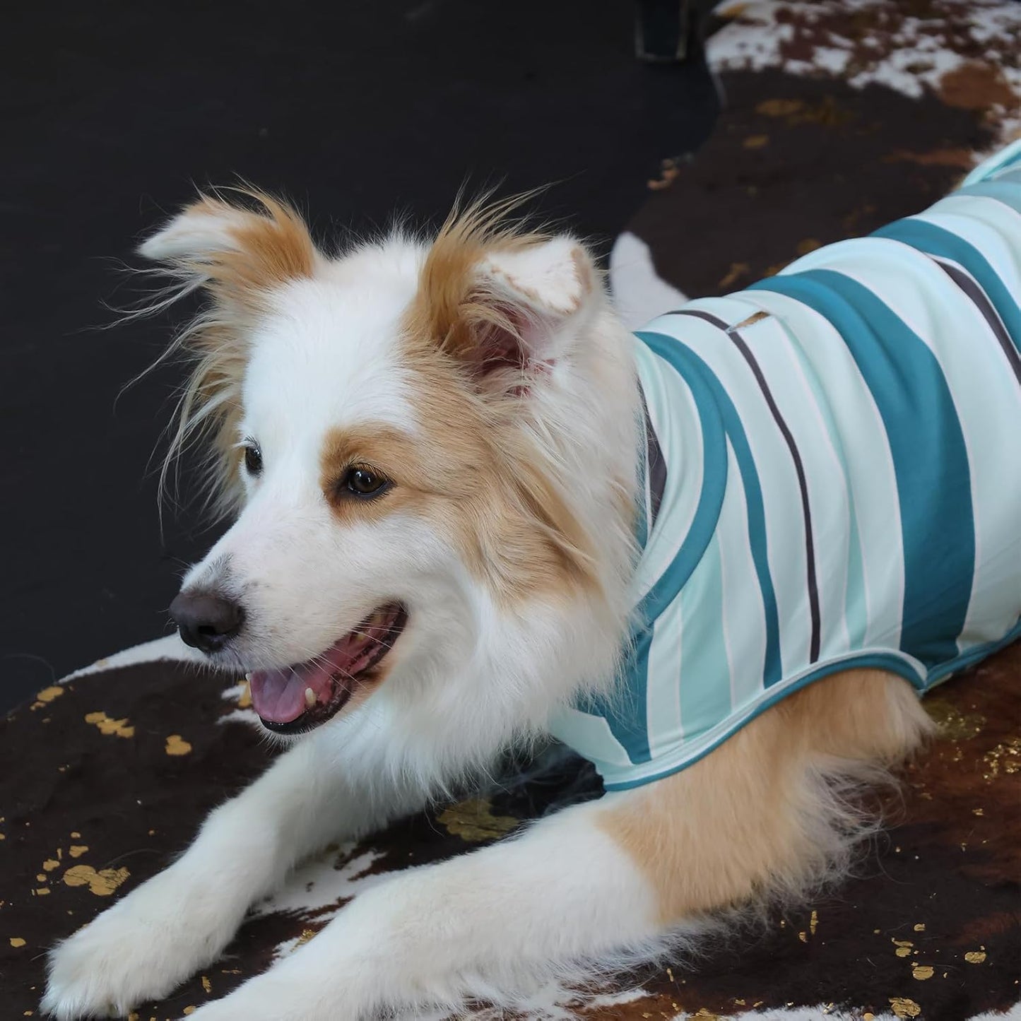 ROZKITCH Dog Sweaters for Large Dogs Winter Pullover with Leash Hole, Warm Sweatshirt with High Neck for French Bulldog Pets, Lightweight & Comfortable Medium & Large BlueStripe XL