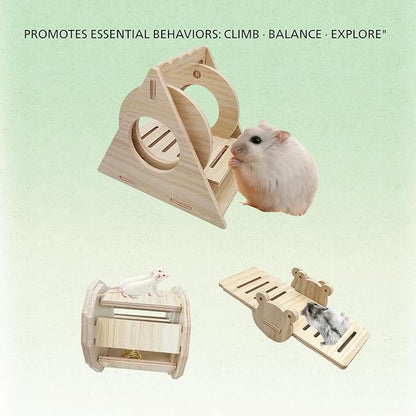 Poplar Wood Hamster Toys Set: Triangle Swing, Frog Seesaw & Bell Roller - Chewable Cage Decor for Dwarf/Syrian Hamsters, Gerbils, Mice (秋千、响铃、跷跷板、)