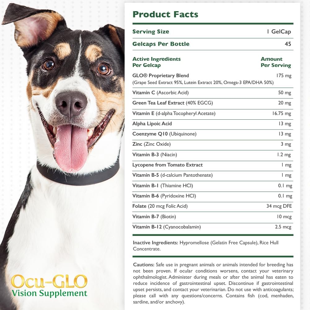 Ocu-GLO Vision Supplement for Small Dogs by Animal Necessity with Lutein, Omega-3 Fatty Acids, Grape Seed Extract and Antioxidants to Promote Eye Health in Dogs, 45ct Liquid Gelcaps