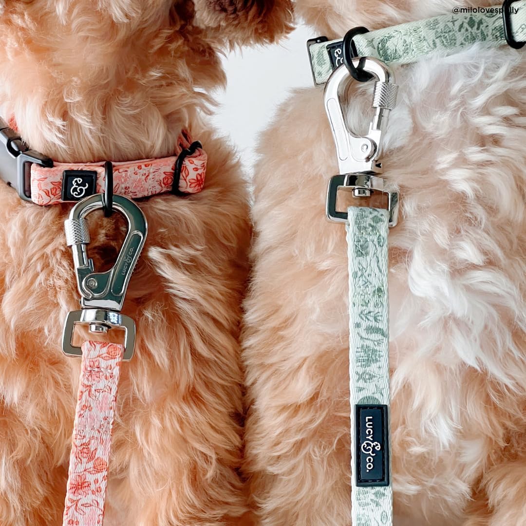 Lucy & Co. 5 Foot Designer Dog Leash for Small, Medium or Big Dogs or Puppies Puppy – Pet Accessories & Supplies- Large-Peach Pink Floral Plaid