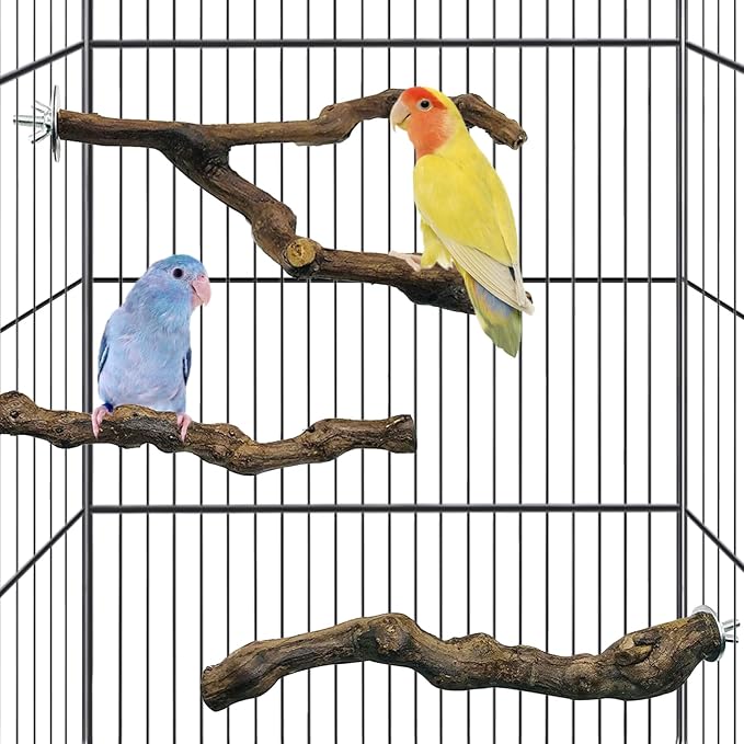 kathson 3pcs Natural Parrot Perch for Cage Wooden Bird Perches Grape Bird Stick Parakeet Climbing Standing Branches Toy Chewable Cage Accessories for Small Budgies Cockatiels Lovebirds Budgies
