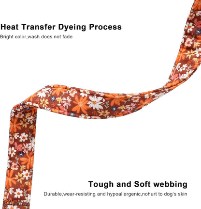 Lionet Paws Floral Dog Collar- Cute Fall Groundsel Oxalis Golden-Rod Dog Collars with Plastic Buckle,Light Adjustable Dog Collars for Small Dogs