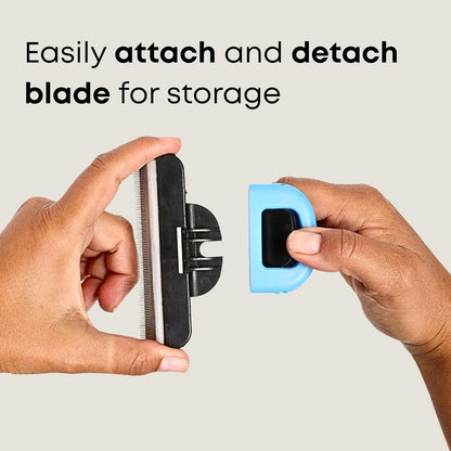 Freshly Bailey Deshedding Brush for Short Haired Dogs & Cats - Cat and Dog Brush for Shedding Short Hair - Highly Effective Deshedder Grooming Comb