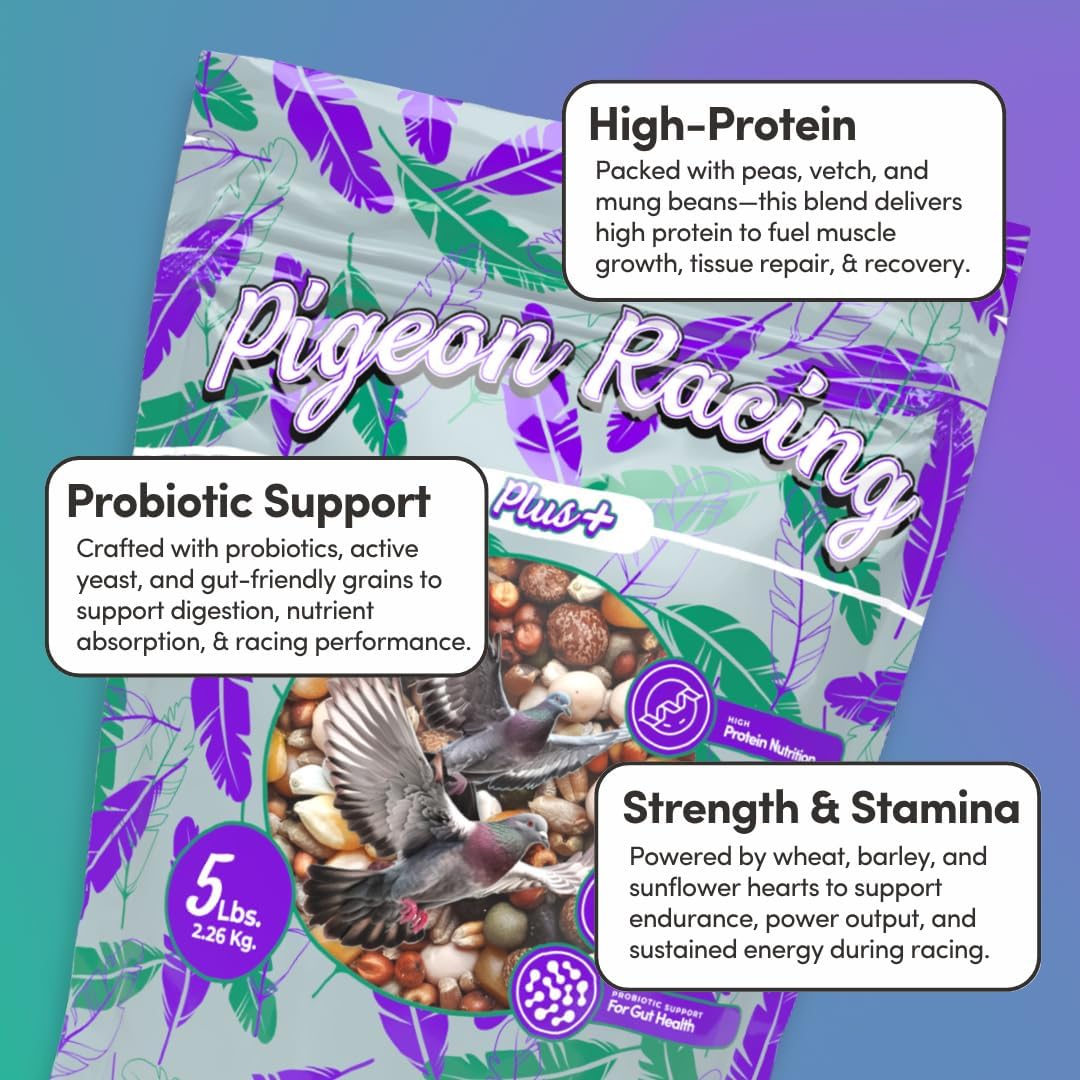 Mycelium Pigeon Racing Plus Feed (5 LB Bag) | Organic, High-Protein Racing Pigeon Food with Probiotic Gut Support | Fortified for Strength & Stamina | Debris-Free Bird Seed, Non-GMO, USA Made