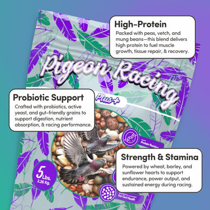 Mycelium Pigeon Racing Plus Feed (5 LB Bag) | Organic, High-Protein Racing Pigeon Food with Probiotic Gut Support | Fortified for Strength & Stamina | Debris-Free Bird Seed, Non-GMO, USA Made
