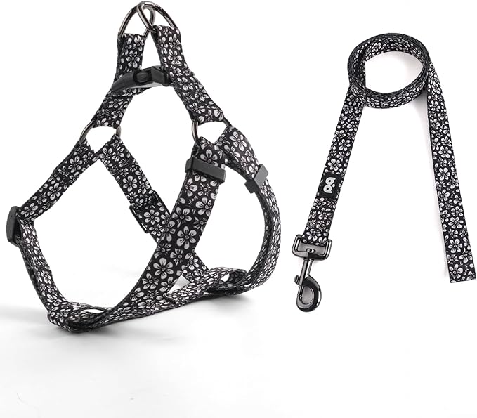 QQPETS Dog Harness Leash Set Adjustable Heavy Duty No Pull Halter Harnesses for Small Medium Large Breed Dogs Back Clip Anti-Twist Perfect for Walking