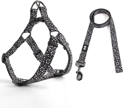 QQPETS Dog Harness Leash Set Adjustable Heavy Duty No Pull Halter Harnesses for Small Medium Large Breed Dogs Back Clip Anti-Twist Perfect for Walking