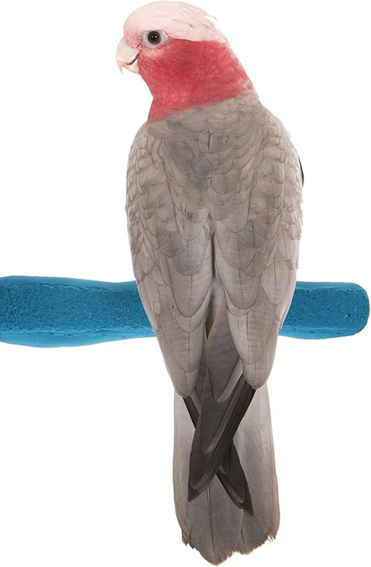 Sweet Feet and Beak Comfort Grip Safety Perch for Bird Cages - Pedicure Perch for Birds to Keep Nails and Beaks in Top Condition - Safe Easy to Install Bird Cage Accessories - M 8.5"