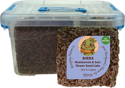 Wild Bird Mealworms & Sunflower Seeds Suet Cakes, High Protein Feed, Pack of 6, Size 4.5"x4.5"x1.0" Poultry Feed, Cattle Feed (4.5"x4.5"x1.0", Mealworms & Sunflower Seeds)