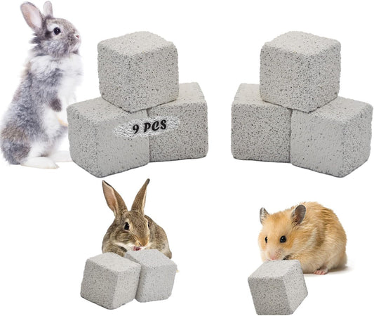 PINVNBY 9 Pcs Lava Blocks for Chinchillas,Hamster Chew Stones Square Mineral Calcium Bunny Teeth Pumice Grinding Chew Toys for Guinea Pig Rat Rodent