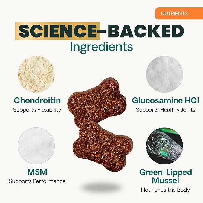 VetriScience Extra Strength Healthy Hip & Joint Chews, GlycoFlex Glucosamine and Green-Lipped Mussel Joint Support Supplement for Dogs, Promote Mobility & Soothe Joint Discomfort, Chicken, 60 Count