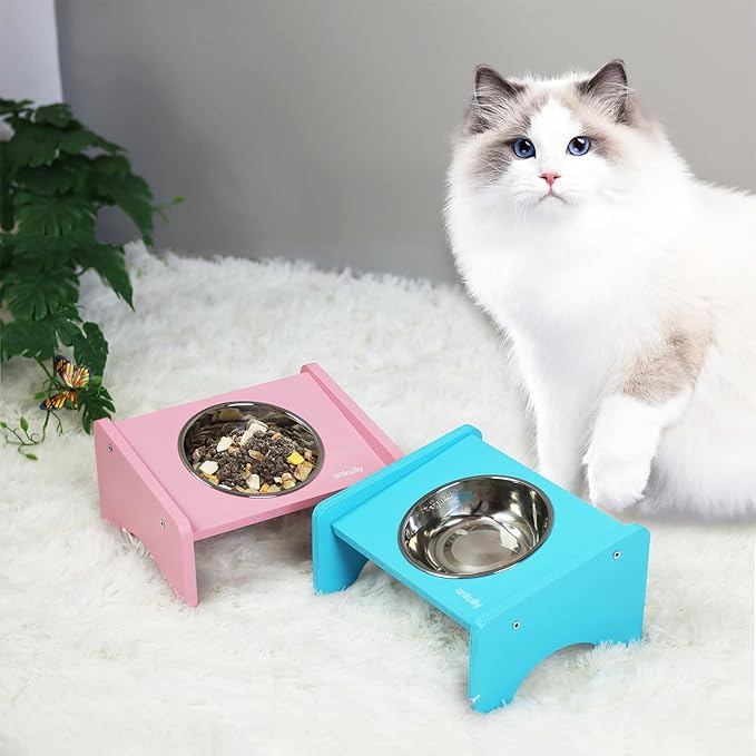 Elevated Cat Bowls,2 Stainless Steel Pet Food Water Feeder,15°Tilted Raised Pet Dish, Slanted Dog Bowl with Wood Stand for Kitty and Puppy,Wide 5.51" (Blue)