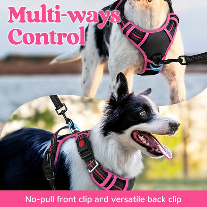 rabbitgoo Dog Harness for Large Dogs, No Pull Pet Vest with 3 Buckles, Adjustable Soft Padded Pet Harness with Easy Control Handle and Reflective Strips, Black & Rose Pink, XL