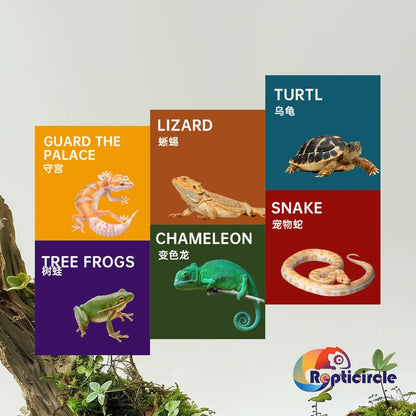 36 Gallon Reptile Enclosure, 34.1x14.8x16.6 Tank for Ball Python, Bearded Dragon, Snake, Gecko – Reptile Terrarium with Glass Sliding Door & Top Screen Ventilation