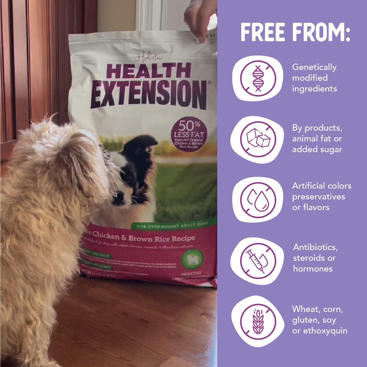Health Extension Lite Chicken & Brown Rice Dry Dog Food, Low Fat Formula Supports Healthy Weight, with Probiotics & Superfoods for Digestion & Coat Health (30lb)