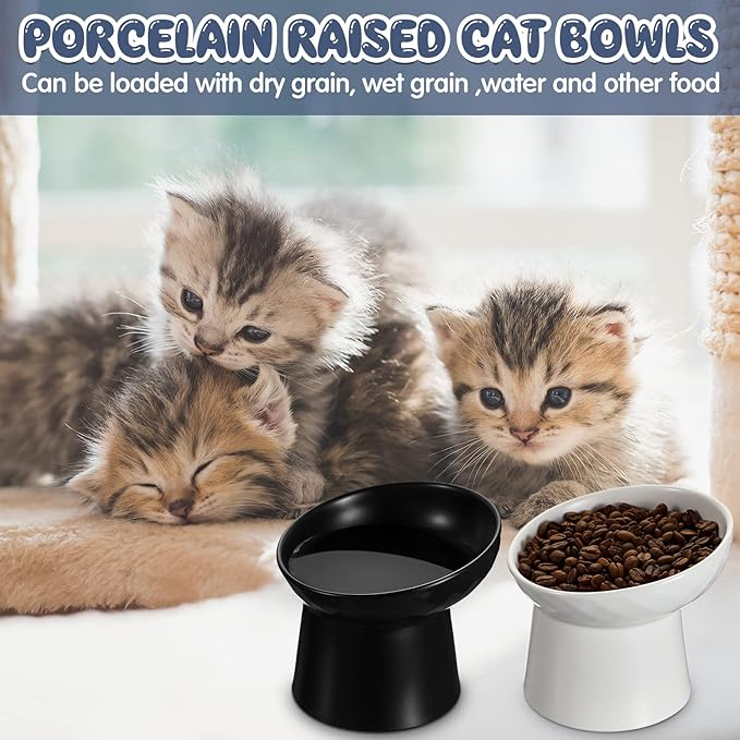 Tanlade 4 Pcs Ceramic Raised Cat Bowls, Elevated Tilted Cat Bowl, Stress Free, Backflow Prevention, Dishwasher and Microwave Safe for Indoor Kitten, Puppies(White and Black)