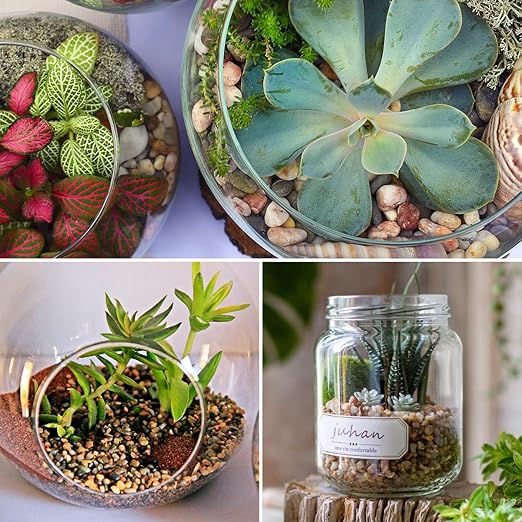 10LB Aquarium Gravel, 1/4" Pea Gravel for Fish Tank, Small River Rocks for Garden Decoration, Landscaping, Vase Filling, Flower Pot Paving(4-8MM)