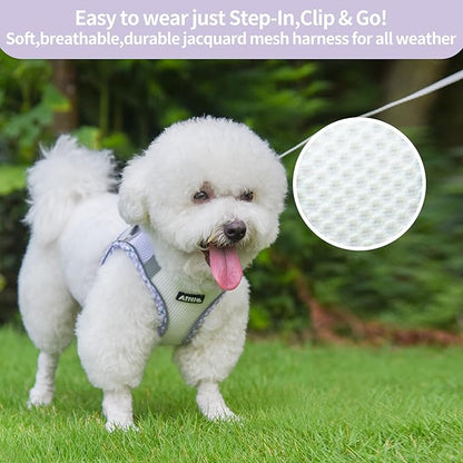 AIITLE Dog Harness and Leash Set - Ultra-Comfortable XXS-XL Vest with Strong Magic Tape & Glow-in-Dark Reflective Strips, Chafe-Free for Teddy, Schnauzer (Purple-White, M)