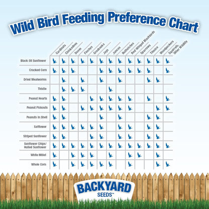 CountryMax Backyard Seeds Songbird Blend Wild Bird Seed – 50 lb Bag – Premium Mix with Sunflower Seeds, Safflower, Peanuts, Millet – Attracts Cardinals, Finches, Chickadees, and More