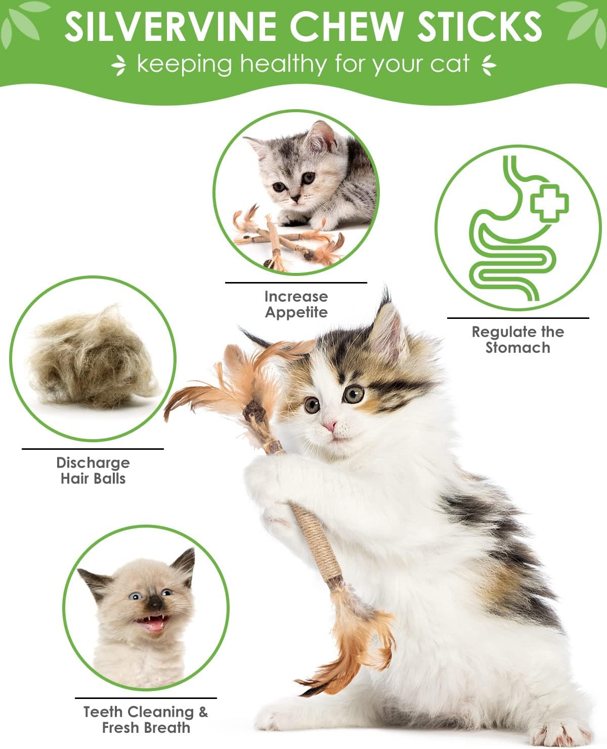 TINDTOP Silvervine Sticks for Cats with Natural Feather, Catnip Chew Toys for Kittens Teeth Cleaning, Increase Appetite, Calm Cat Anxiety and Stress, Cat Dental Toy (3 Pack)